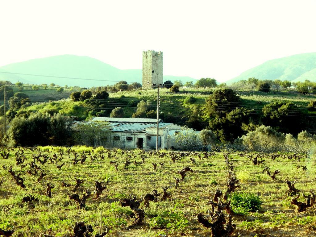 Markópoulon韦瑞洛纳画廊地下室旅馆公寓 外观 照片